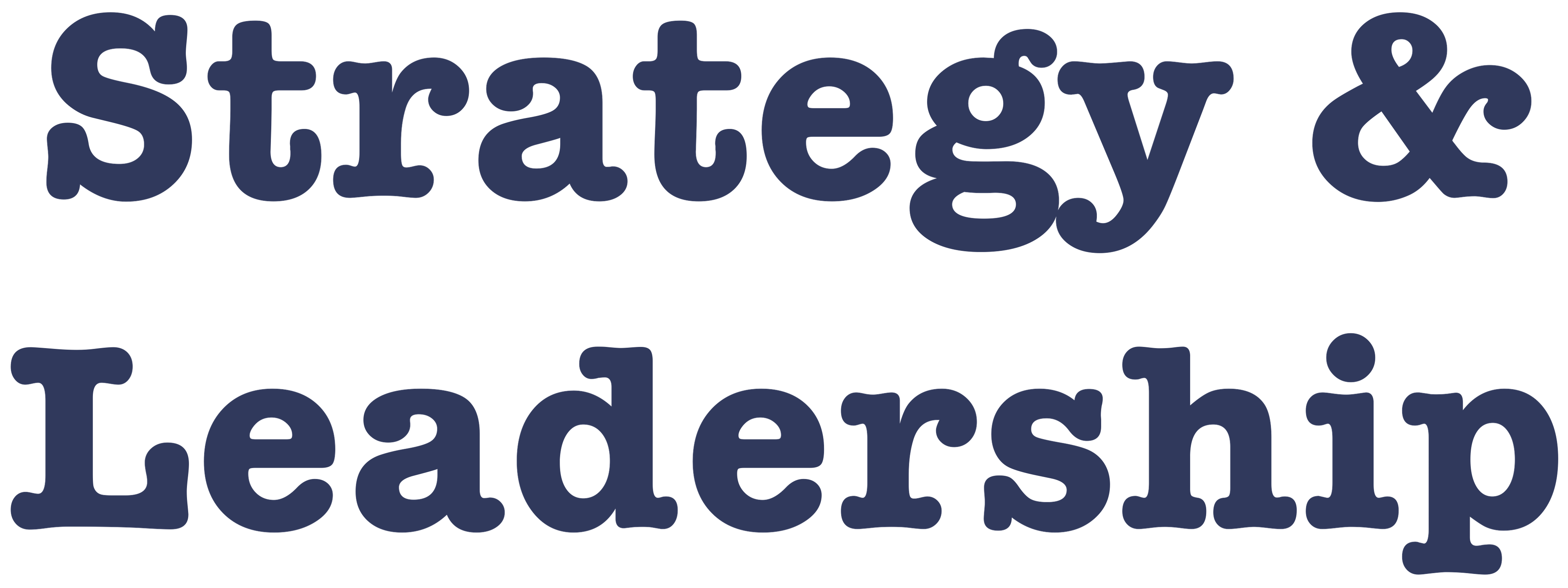 Strategy & Leadership